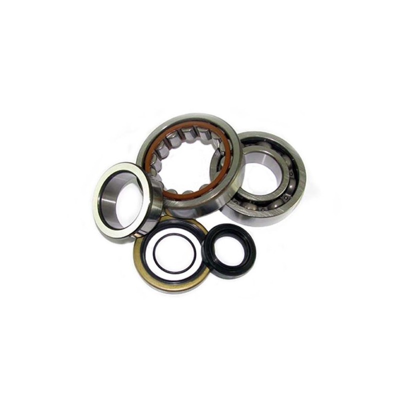 ALL-BALLS CRANKSHAFT BEARINGS KIT SUZUKI RM 250 2004