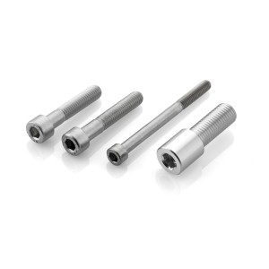 RIZOMA PROGUARD BREMS/KUPPLUNGSHEBELSCHUTZ BMW C 600 SPORT 2012-2015