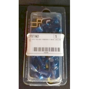 LIGHTECH ERGAL SCREW KIT YAMAHA T-MAX 530 2012-2014 RAHMEN, INDIGO