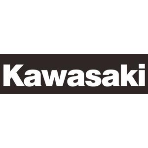 PAAR STICKERS SCHRIFTLICH KAWASAKI PRESPAZIATE 16 CM