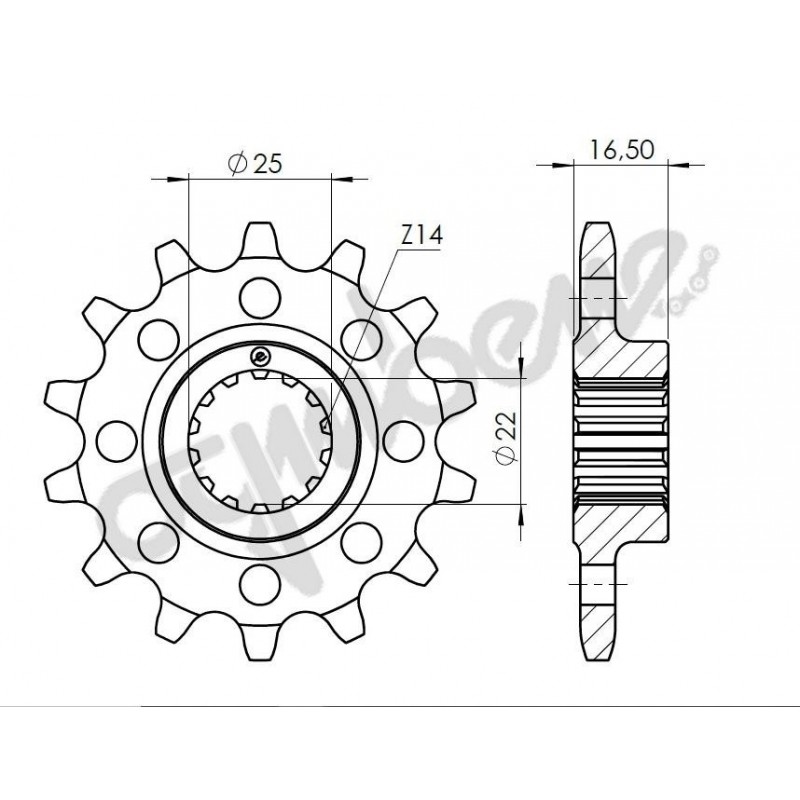 PIÑON DE ACERO PARA CADENA 520 DUCATI MONSTER 1000 2003-2006, MONSTER S2R 1000 2006-2008