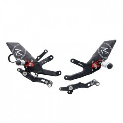 PEDANE ARRETRATE REGOLABILI LIGHTECH R-VERSION CON POGGIAPIEDI SNODATI BMW S 1000 R 2017-2020(STANDARD/ROVESCIATO)