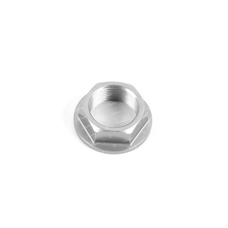 ERGAL NUT FOR SWINGARM PIN KAWASAKI ER-6N 2009-2011