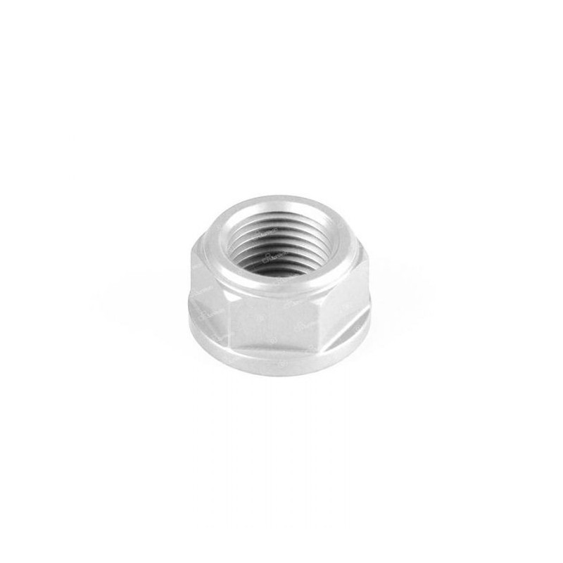 DADO IN ERGAL PER PERNO FORCELLONE TRIUMPH DAYTONA 675/R 2006-2015
