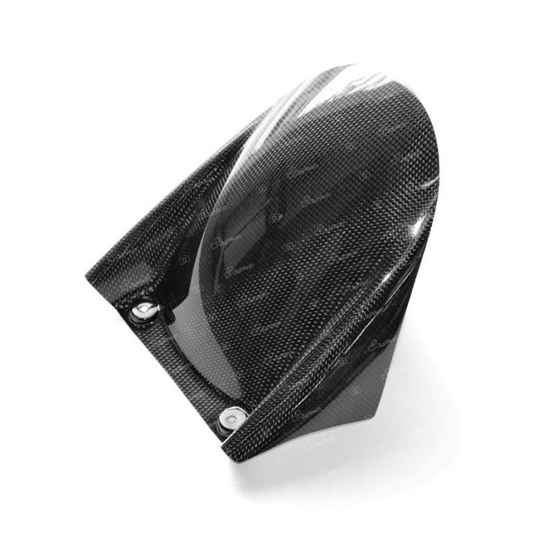 PARAFANGO POSTERIORE LIGHTECH IN CARBONIO APRILIA TUONO V4 2011-2019