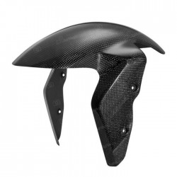 LIGHTECH CARBON FRONT FENDER BMW S 1000 R 2014-2020