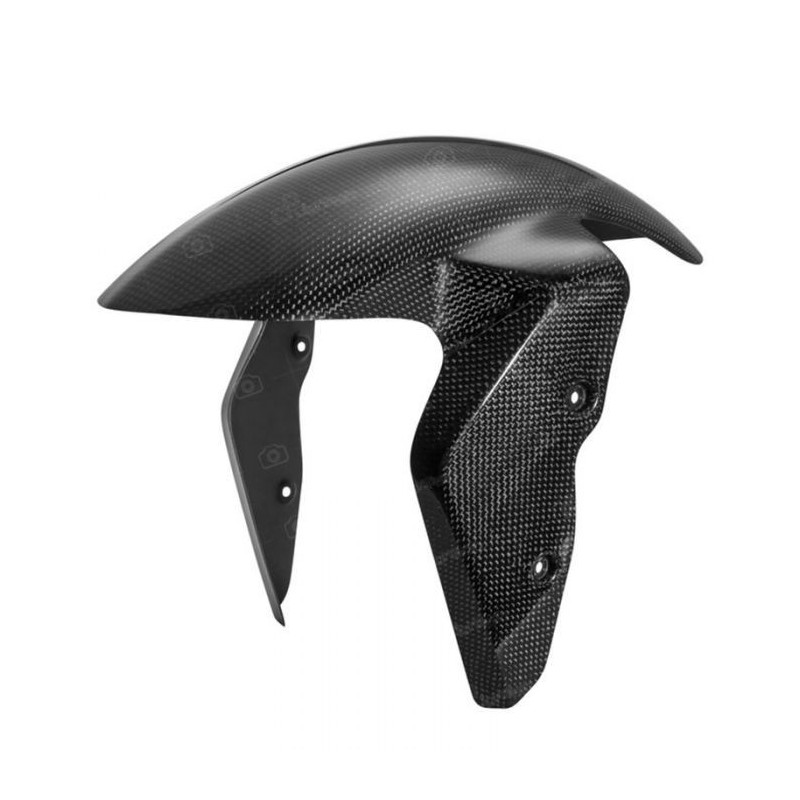 LIGHTECH CARBON FRONT FENDER BMW S 1000 R 2014-2020