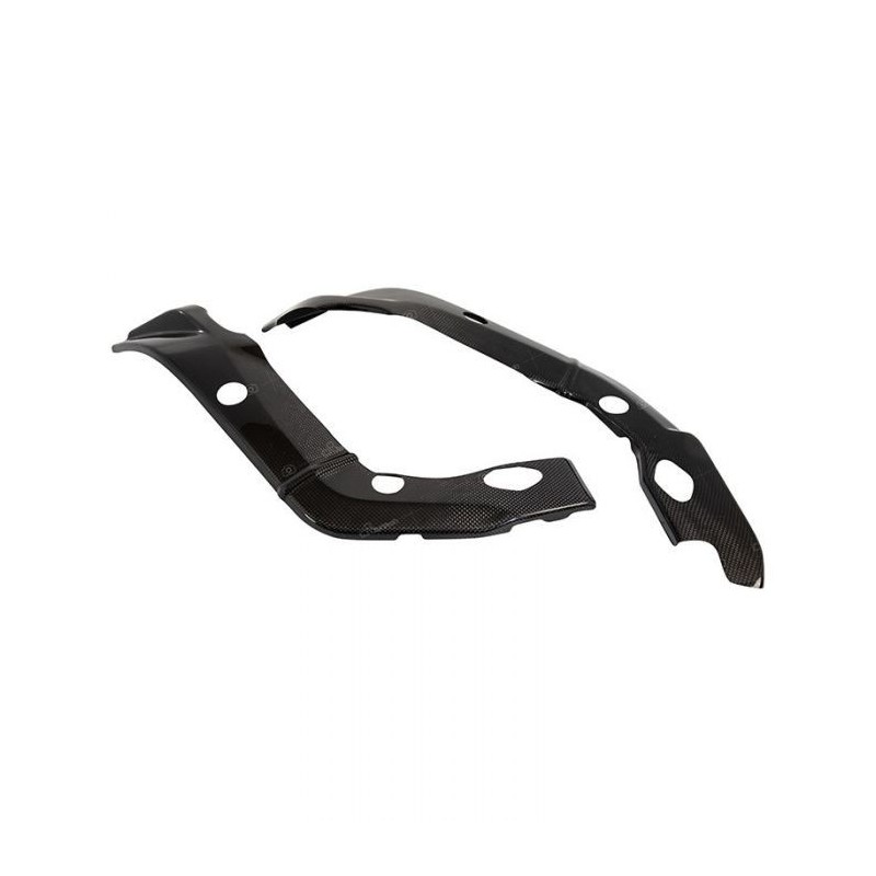 LIGHTECH CARBON FRAME PROTECTION BMW S 1000 R 2014-2016