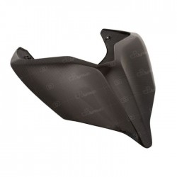 LIGHTECH TAIL PROTECTION COVER IN POLISHED CARBON DUCATI PANIGALE V4 S 2020