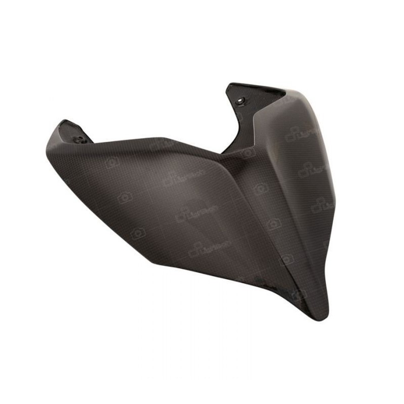 LIGHTECH TAIL PROTECTION COVER IN POLISHED CARBON DUCATI PANIGALE V4 S 2020