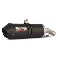 EXHAUST MIVV OVAL FOR BMW R 1200 GS 2004-2007, APPROVED CARBON