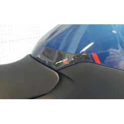 PEGATINAS 3D PROTECTORES LATERALES DEPOSITO BMW F 900 R 2020-2024