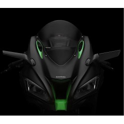 PAAR SPIEGEL RIZOMA STEALTH KAWASAKI ZX-10R 2019-2020*