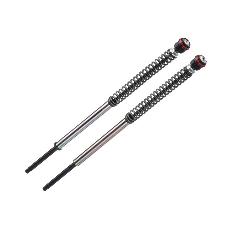 CARTUCHOS DE HORQUILLA BITUBO JBH01 KAWASAKI Z 650 2017-2019