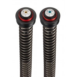 FORK CARTRIDGES BITUBO JBH01V2 DUCATI HYPERMOTARD 950 2019-2020