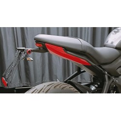 LIGHTECH KENNZEICHENHALTER-KIT TRIUMPH TRIDENT 660 2021-2024, EINSTELLBAR AUS ALUMINIUM