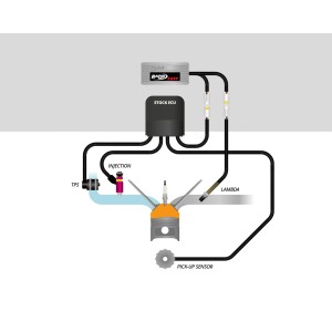 RAPID BIKE EASY 2 ECU MOTO GUZZI V7 III 2017-2020