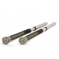 OHLINS NIX SUPERSPORT 30 MM GABELKARTUSCHEN MIT GABELFEDERN UND ÖL BMW S 1000 RR 2023-2024