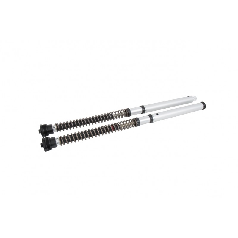 CARTUCHOS DE HORQUILLA OHLINS NIX CON MUELLES Y ACEITE DUCATI SCRAMBLER DESERT SLED 2019-2020