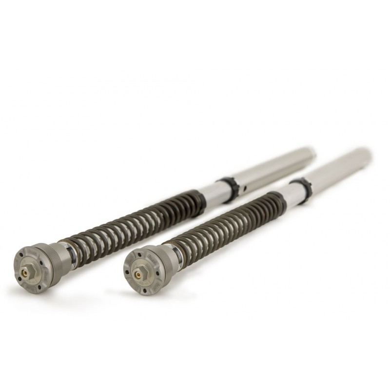 CARTUCCE FORCELLE OHLINS NIX 30 CON MOLLE E OLIO HONDA CBR 1000 RR 2008-2011