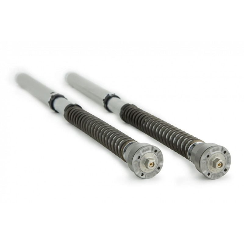 OHLINS NIX 30 FORK CARTRIDGES WITH SPRINGS AND OIL DUCATI DESERT X 2022-2024