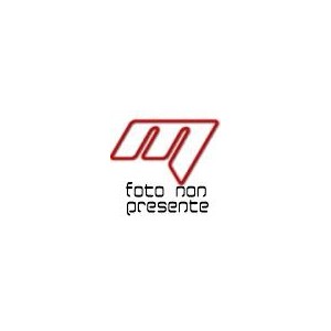 STAHL-KETTENRAD FÜR KETTE 525 HONDA AFRICA TWIN 1000 2016-2019