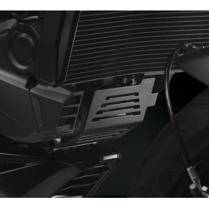 RIZOMA HORIZONTALER VENTILABDECKUNGSSCHUTZ DUCATI MONSTER 937+ 2021-2024