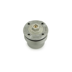 OHLINS NIX SUPERSPORT 30 MM GABELKARTUSCHEN MIT GABELFEDERN UND ÖL DUCATI PANIGALE V4 2022-2024 (FORK SHOWA OEM)