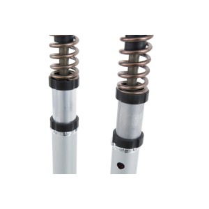 OHLINS NIX SUPERSPORT 30 MM GABELKARTUSCHEN MIT GABELFEDERN UND ÖL DUCATI PANIGALE V4 2022-2024 (FORK SHOWA OEM)