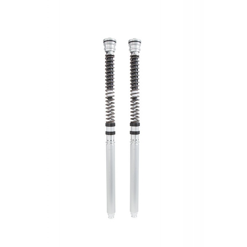 CARTUCCE FORCELLE OHLINS TTX CON 3 SET DI MOLLE E OLIO DUCATI PANIGALE V4 2022-2024 (FORCELLA SHOWA)