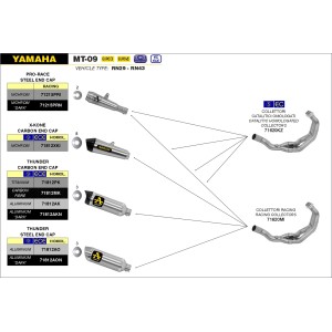 IMPIANTO DI SCARICO COMPLETO ARROW THUNDER YAMAHA TRACER 900 2015-2017, TITANIO/CARBONIO, CATALIZZATO
