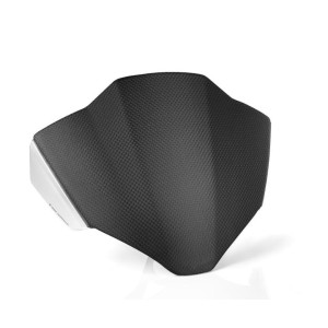 RIZOMA CARBON/ALUMINIUM SCREEN DUCATI STREETFIGHTER V4 2023-2024