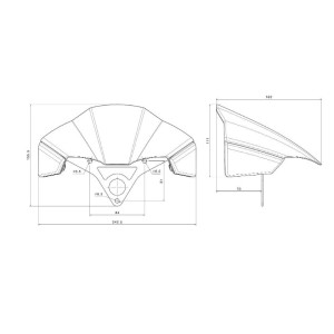 CUPOLINO RIZOMA IN CARBONIO/ALLUMINIO DUCATI STREETFIGHTER V4 2023-2024