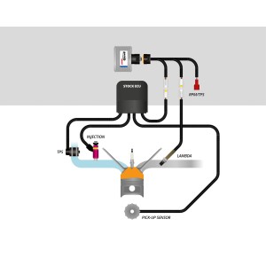 KIT UNIDAD DE CONTROL RAPID BIKE SMART 2 CON CABLEADO PARA HONDA AFRICA TWIN 1100 ADVENTURE SPORTS 2024-2026 (EURO 5+)