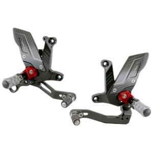 INSTELLBARE HINTERE EINSTELLUNGEN LIGHTECH R-VERSION ARTIKULIERTE FUSSRÜSTEN KTM 1390 SUPER DUKE R 2024 (NORMAL/INVERTIERT)