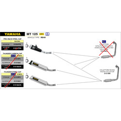 ARROW PRO-RACE FULL EXHAUST SYSTEM YAMAHA MT-125 2021-2024, STEEL, DEKAT