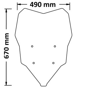 CUPOLINO ISOTTA ALTO BMW F 900 R 2020-2024, FUME' CHIARO