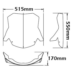 CUPOLINO ISOTTA GIGANTE BMW F 800 ST 2007-2008, TRASPARENTE