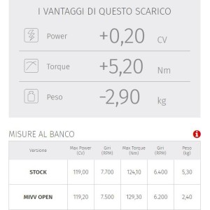 TERMINALE MIVV OVALE BMW R 1250 GS ADVENTURE 2021-2024, OMOLOGATO TITANIO/CARBONIO