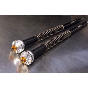 ANDREANI EINSTELLBARER GABEL-KARTUSCHEN-KIT MISANO EVO BUELL XB12S LIGHTNING