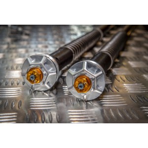 ANDREANI EINSTELLBARER GABEL-KARTUSCHEN-KIT MISANO EVO MOTO GUZZI V9 BOBBER 2021-2024 