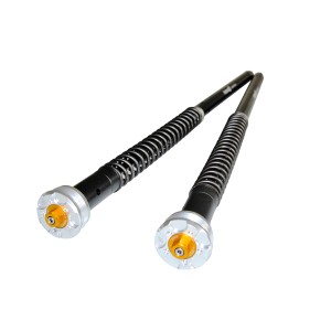 ANDREANI EINSTELLBARER GABEL-KARTUSCHEN-KIT MISANO EVO 2 BMW F 900 XR 2020-2024 (4R90) 