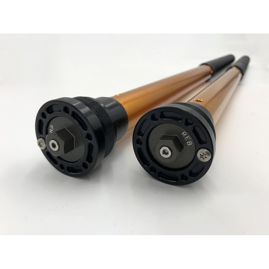 CARTUCHOS DE HORQUILLA ANDREANI RALLY RACE DUCATI SCRAMBLER DESERT SLED 2017-2018 (OEM FORK KAYABA 46)