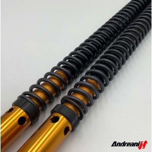 ANDREANI EINSTELLBARER GABEL-KARTUSCHEN RALLY RACE +30 mm HONDA TRANSALP 750 2025-2026  (OEM FORK SHOWA 43)