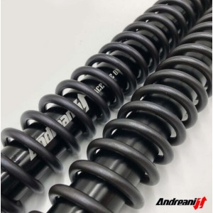 FORK CARTRIDGES ADJUSTABLE ANDREANI RALLY RACE +30 mm HONDA TRANSALP 750 2025-2026  (OEM FORK SHOWA 43)