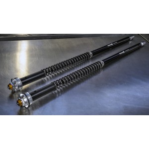 KIT CARTUCHOS DE HORQUILLA ANDREANI MISANO EVO BENELLI TRK 502 X 2025