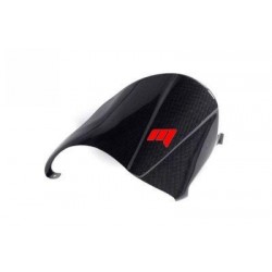 CARBON FIBER CLASSIC SINGLE ARM HINTEN KOTFLÜGEL DUCATI MONSTER