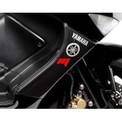 PAIR OF SIDE PANELS IN CARBON FIBER YAMAHA T-MAX 2000-2007