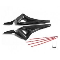 PARES DE COLA DE FIBRA DE CARBONO DUCATI MONSTER 696 2008-2011, MONSTER 796 2010-2013, MONSTER 1100/EVO