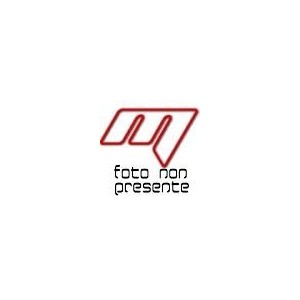 SPEZIFISCHER STAHLROHR-SEITENKOFFERTRÄGE GIVI FÜR KOFFER MONOKEY HONDA VARADERO 1000 2003-2006